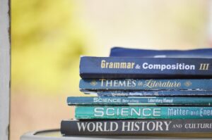 IB or AP Curriculum