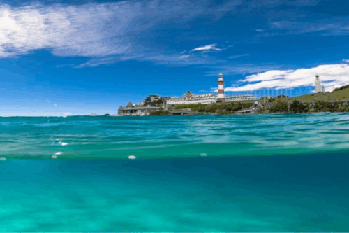 University of Plymouth