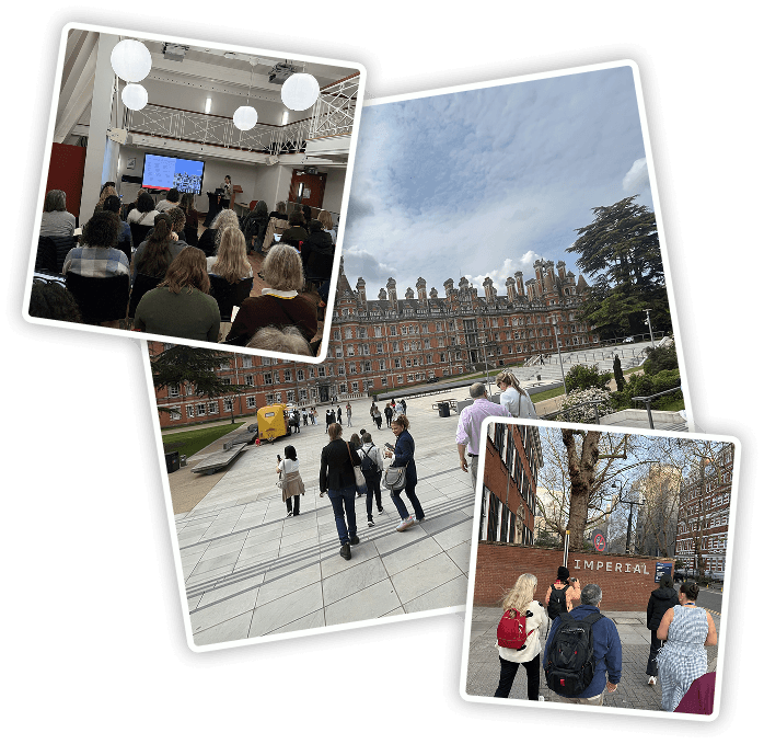 A collage depicting diverse individuals walking across a university campus, showcasing various activities and interactions.